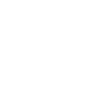 LogoShopify